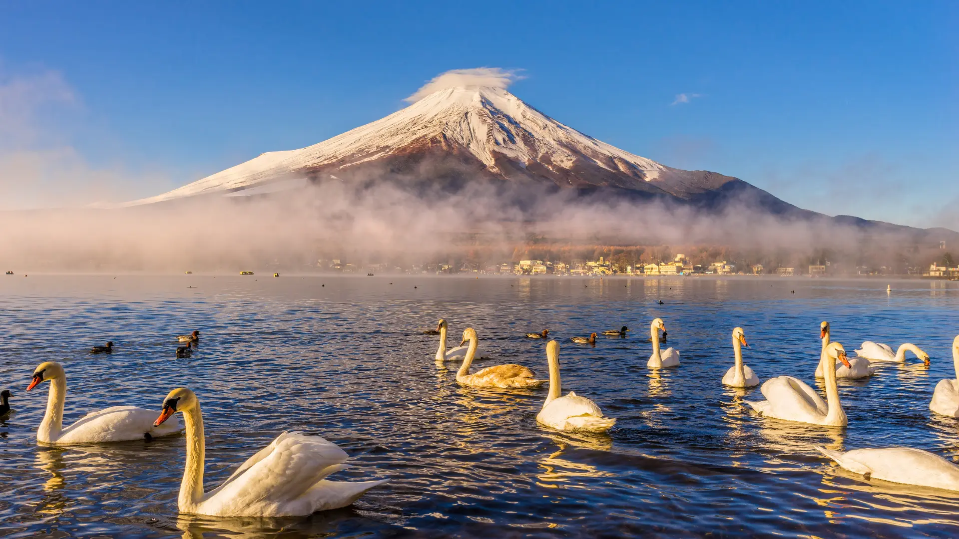 Japan